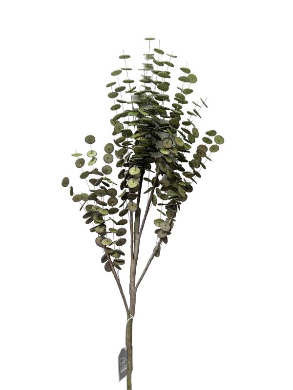 Vintage Eucalyptus Branch