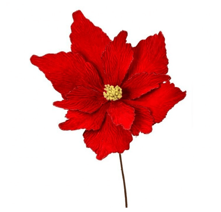 Red Poinsettia Velvet Edge Stem - Perch