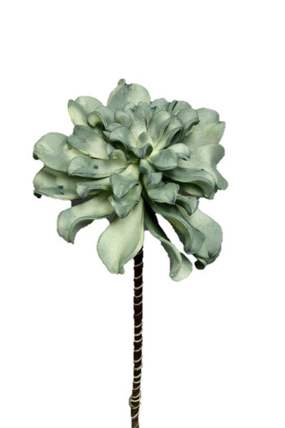 Soft Green Flower