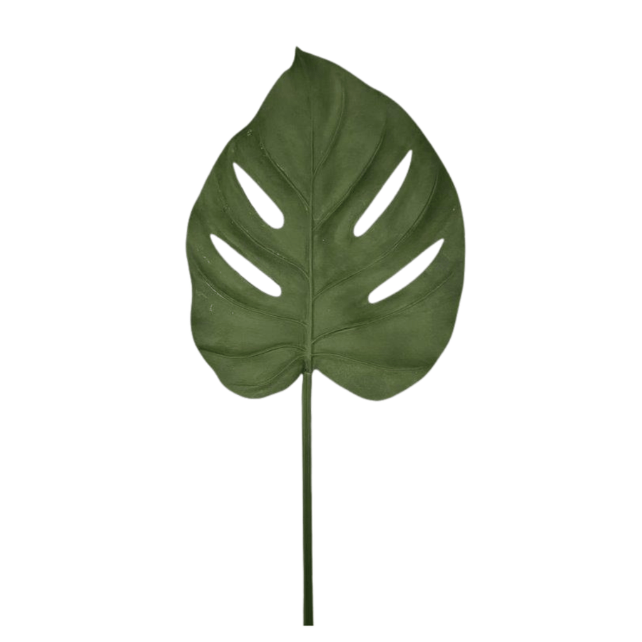 Tropical Leaf - Perch