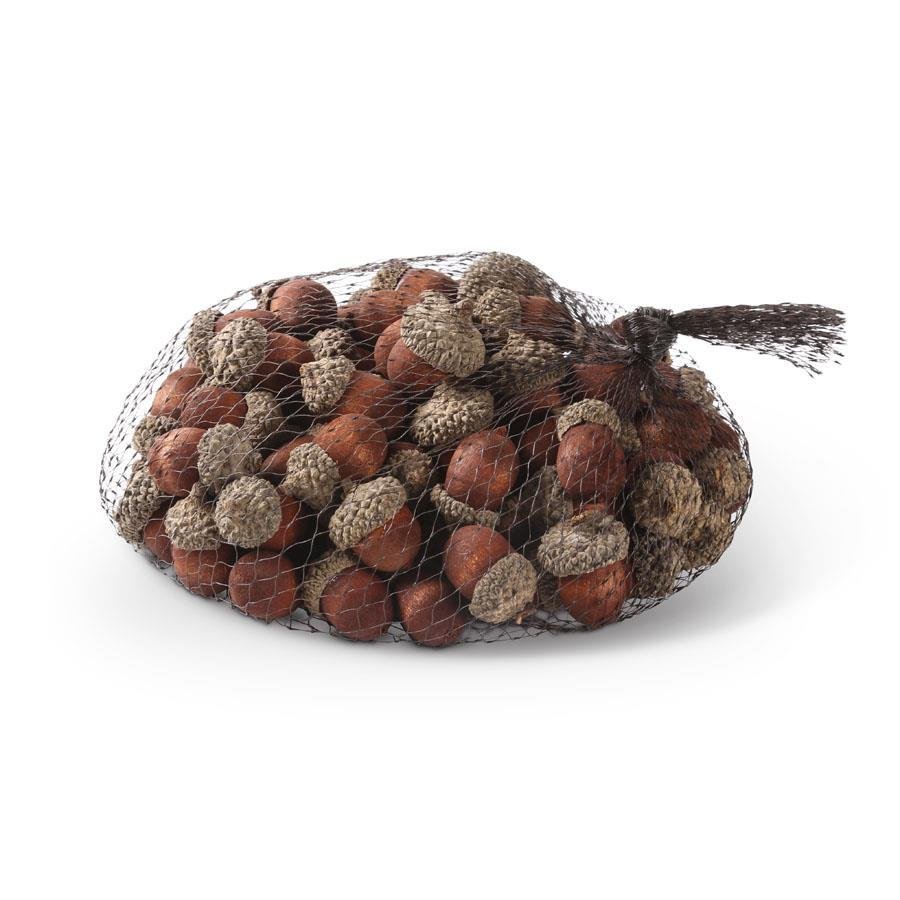 Brown Wood Acorns - #Perch#