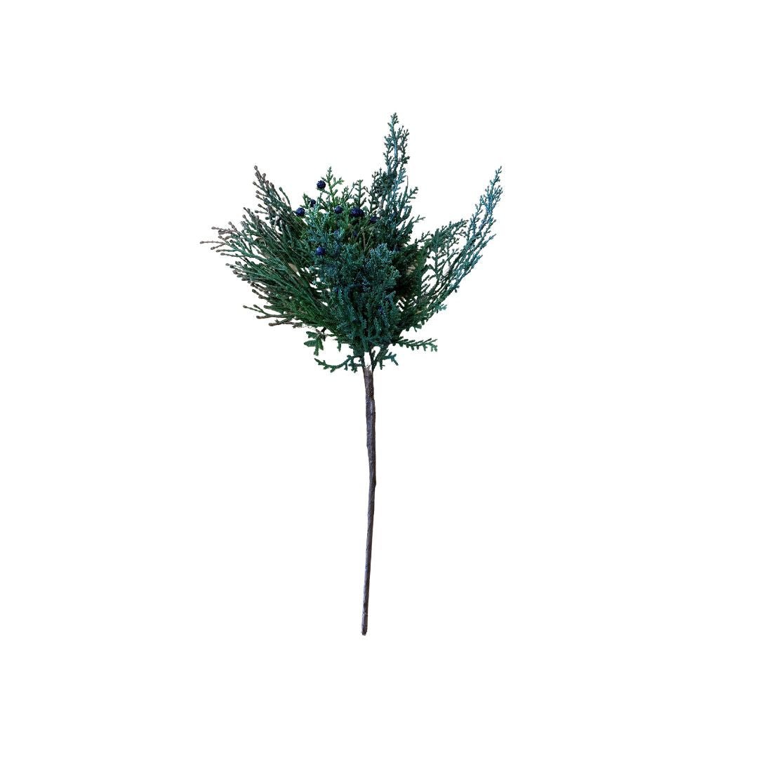 Cedar Stem with Berries - #Perch#