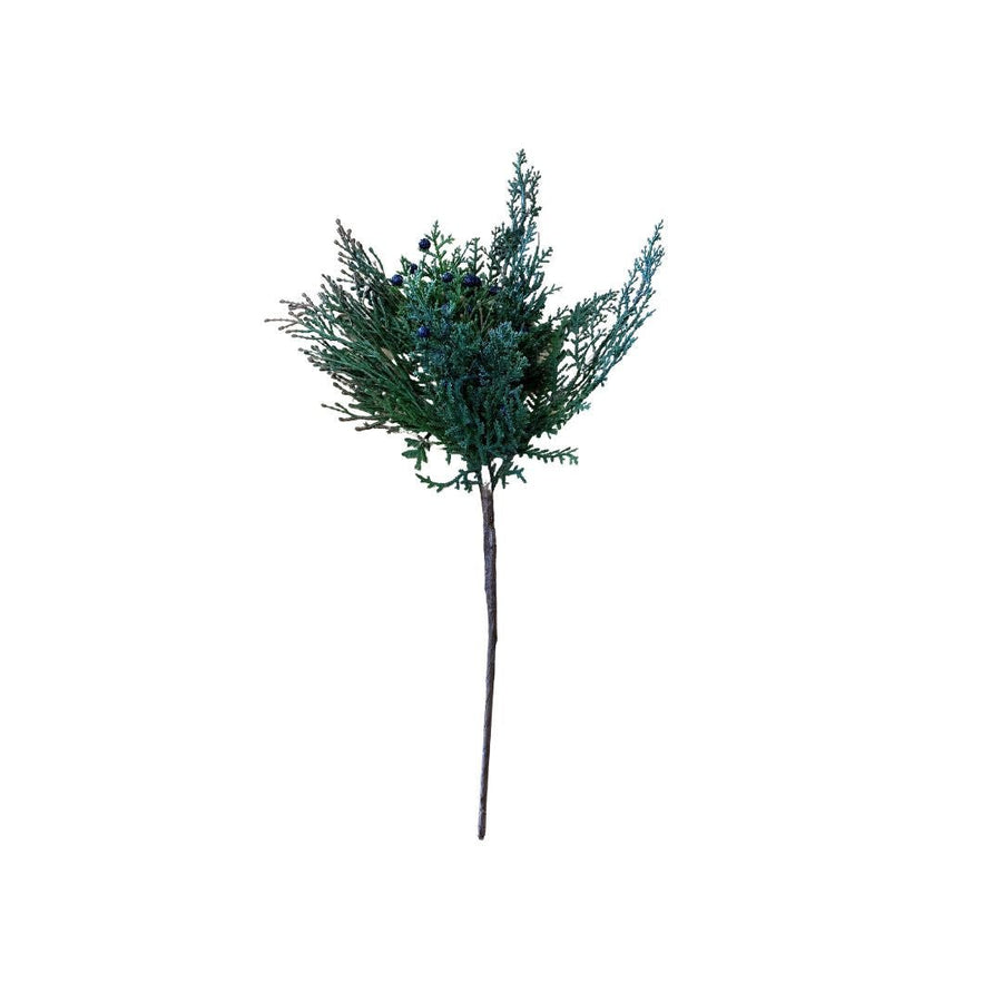 Cedar Stem with Berries - #Perch#