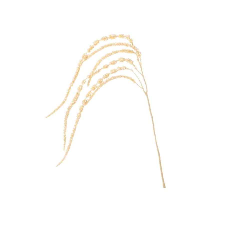 Creamy Buff Draping Amaranthus - #Perch#