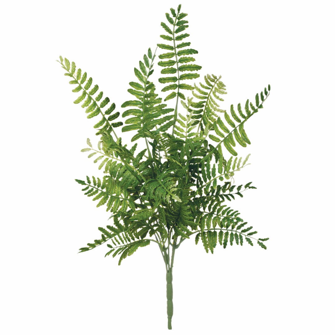 Green Fern Pick - #Perch#