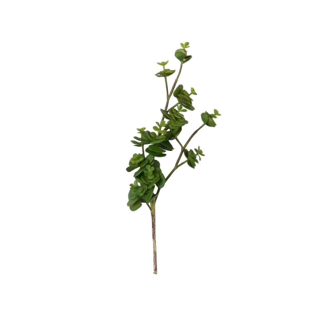 Jade Stem - 12" - #Perch#