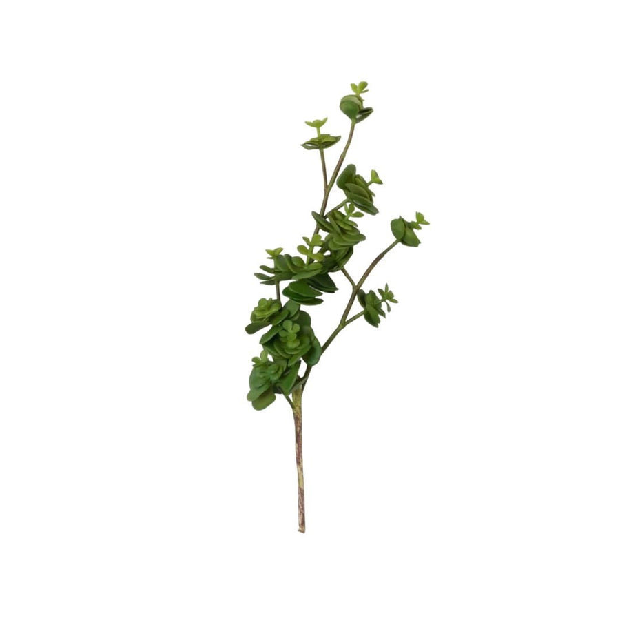 Jade Stem - 12" - #Perch#