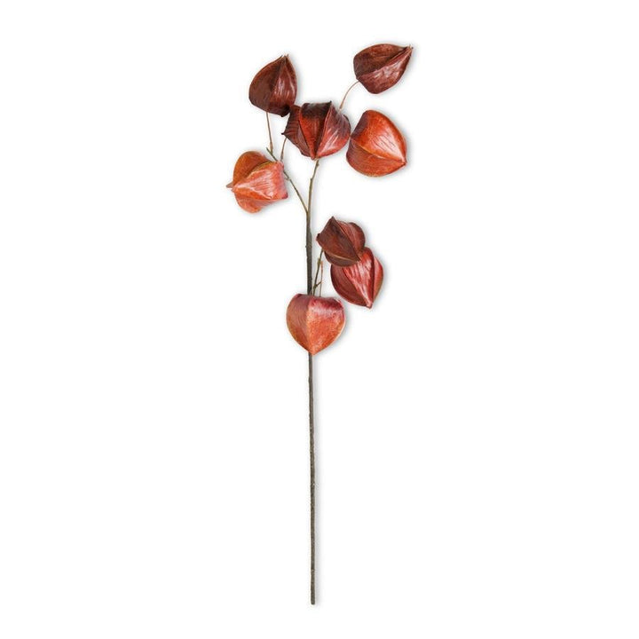 Orange & Red Chinese Lantern Spray - #Perch#