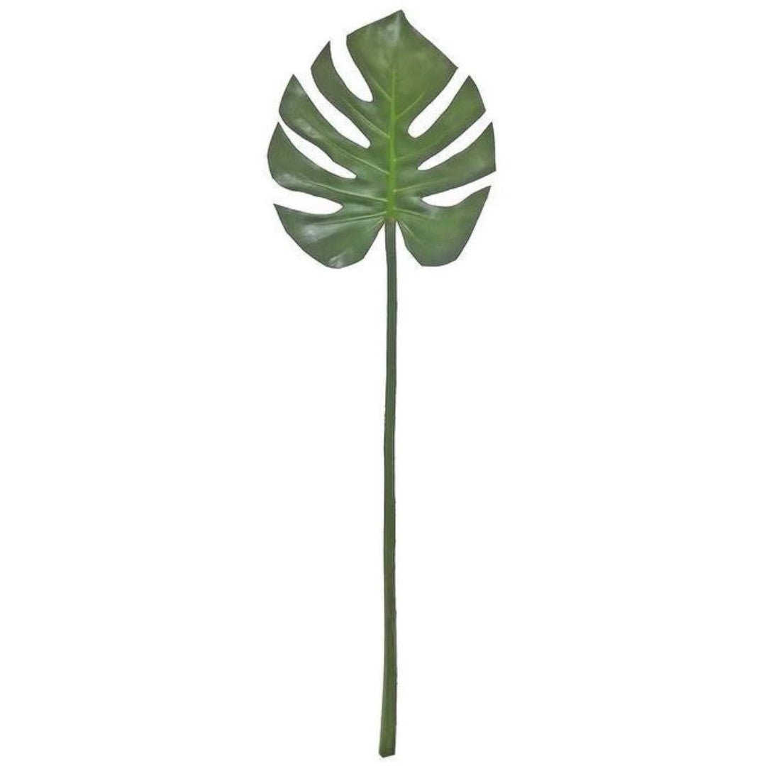 Split Leaf - #Perch#