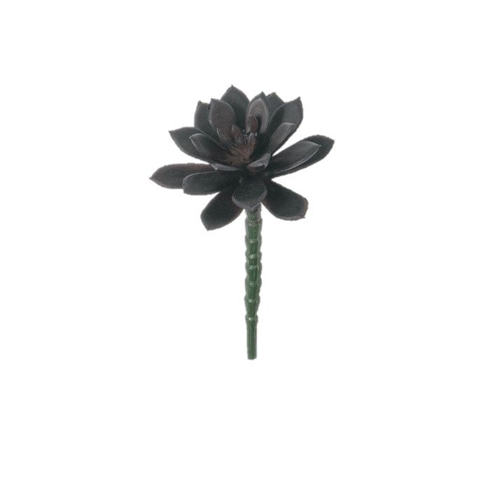 the succulent perch Succulent Pick Dark Purple – Perch