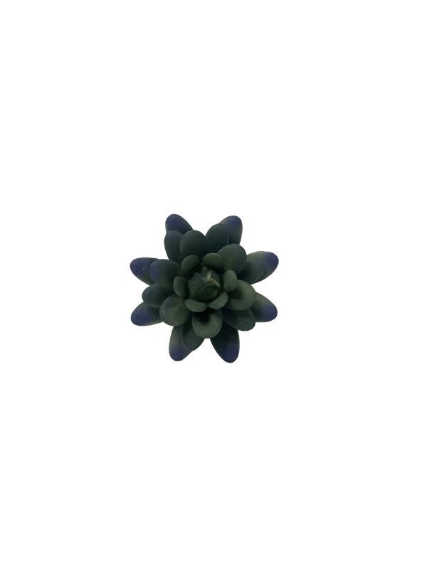 Succulent Pick-Small Echeveria - #Perch#
