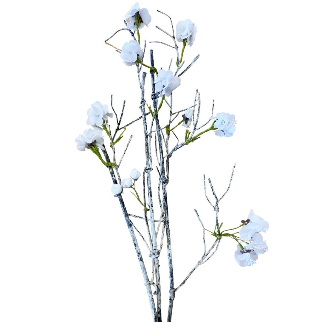 White Cherry Blossom On Green Branch - #Perch#