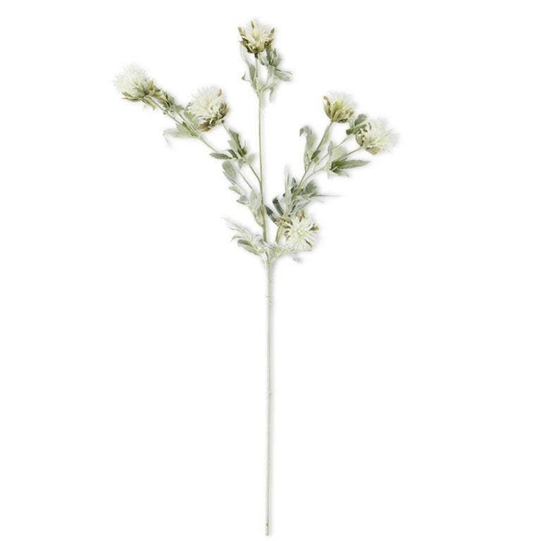 White Thistle with Foliage Stem - #Perch#