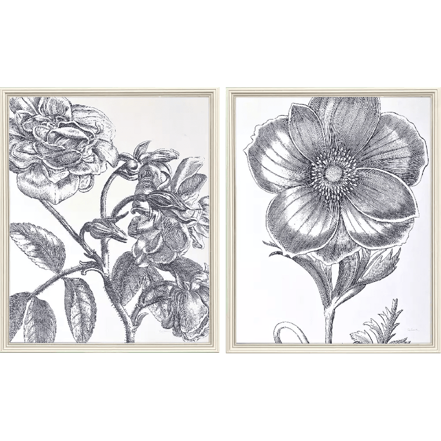 Belle Fleur II - Set of 2 - Perch