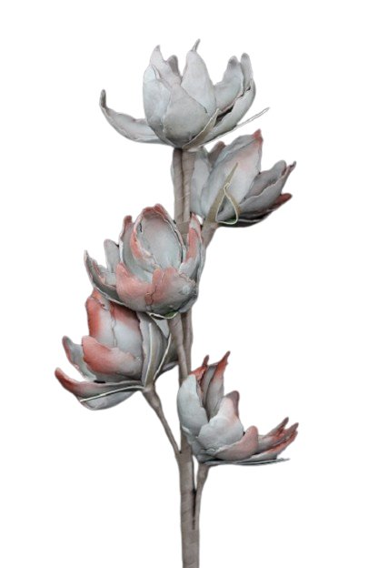 Coral + Grey Bloom Stem - #Perch#