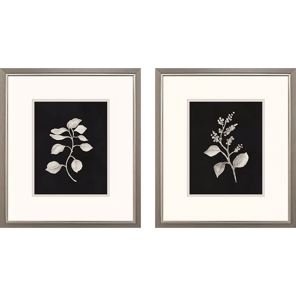 Dark Botanical - Set of 2 - Perch