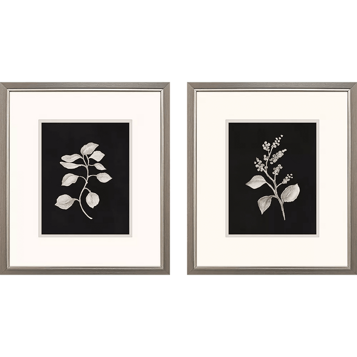 Dark Botanical - Set of 2 - Perch