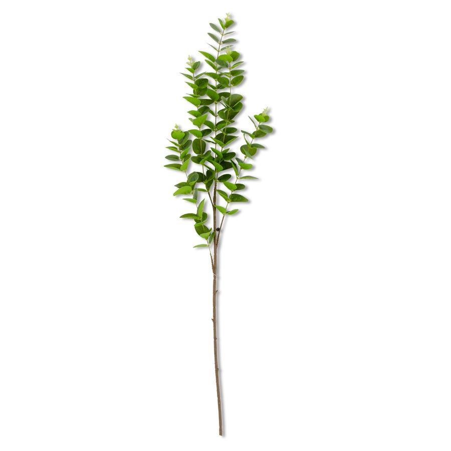 Dark Green Gunnii Eucalyptus Stem - #Perch#