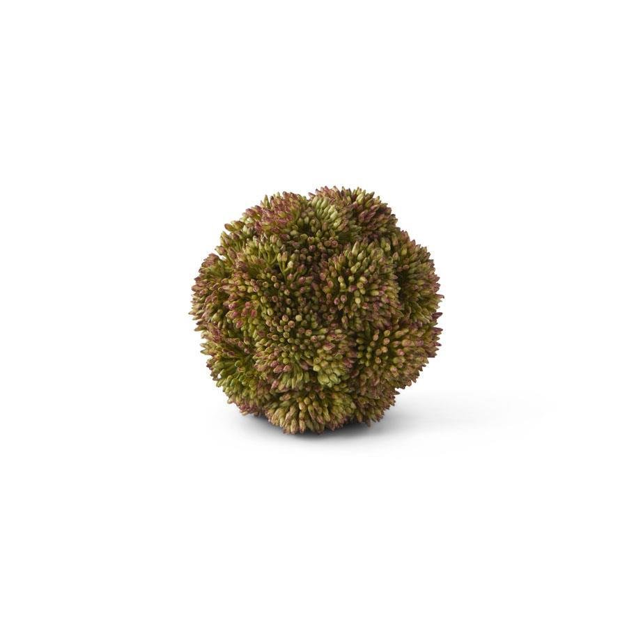 Dark Green Sedum Ball - Perch