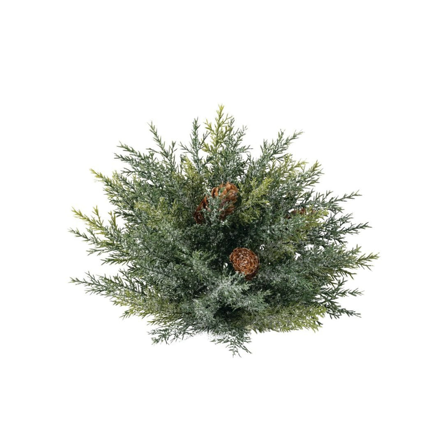 Frosted Arborvitae Orb - #Perch#