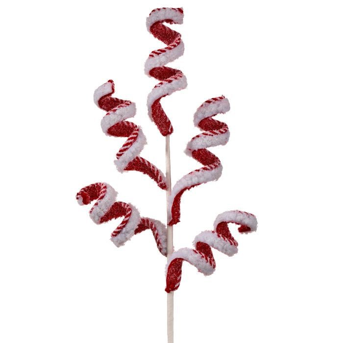 Frosted Peppermint Curly Spray - Perch