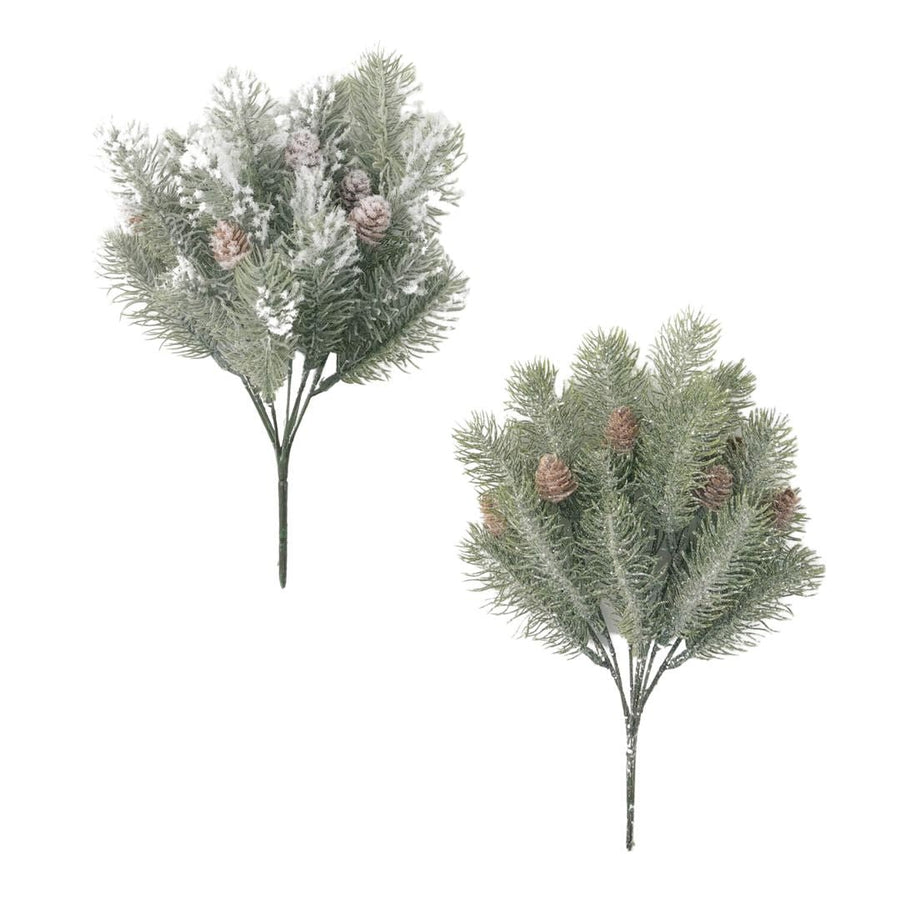 Frosty Pine Bush - #Perch#