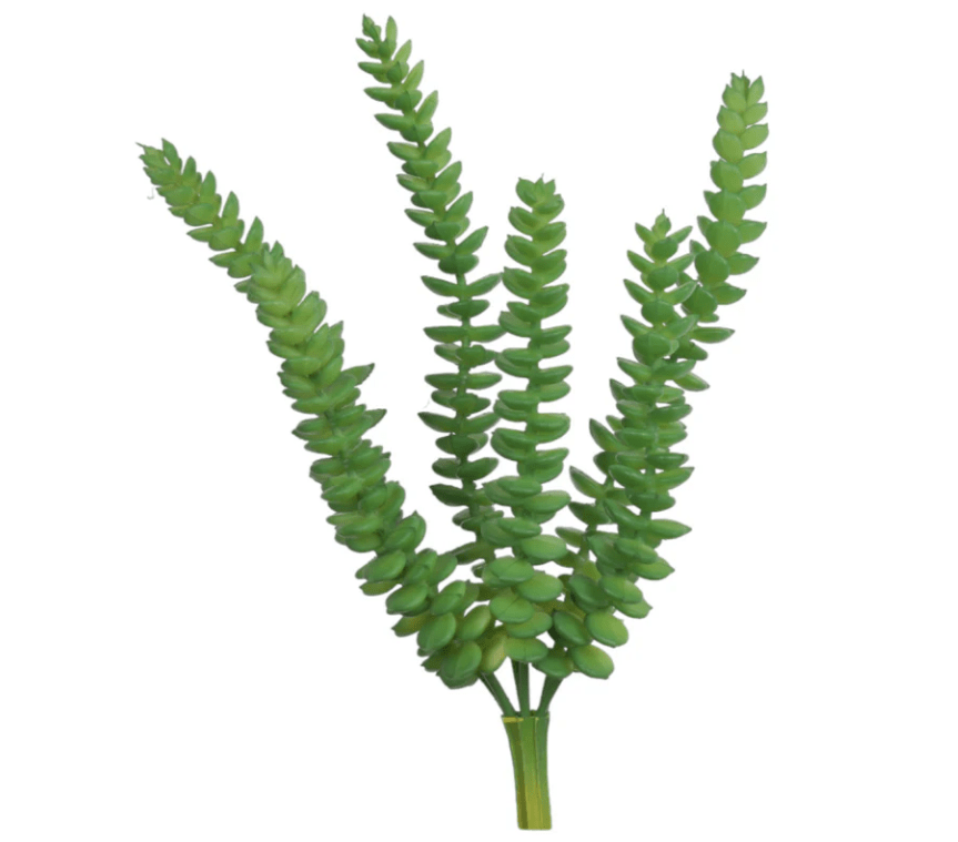 Green Money String - Perch