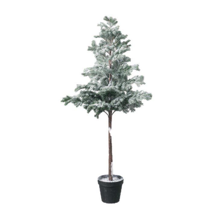 Iced Potted Tree - #Perch#