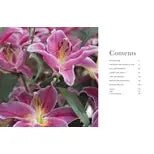 Lilies: Beautiful Varieties For Home & Garden - #Perch#