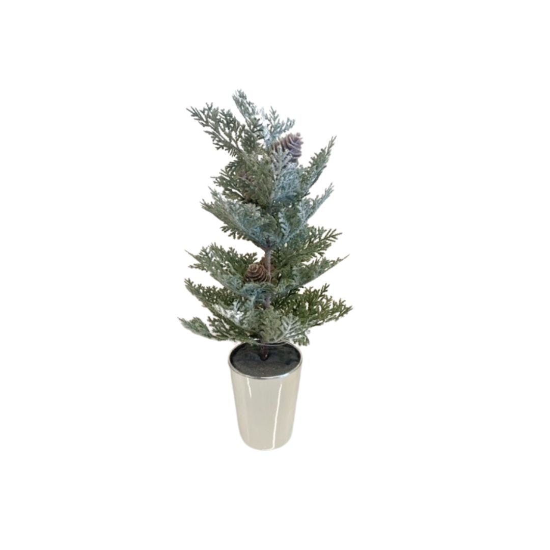 Mini Potted Trees - #Perch#