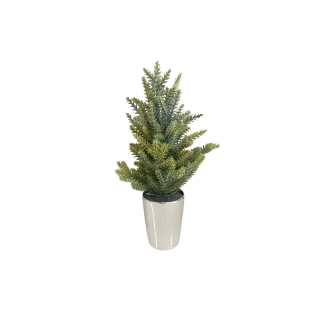 Mini Potted Trees - #Perch#