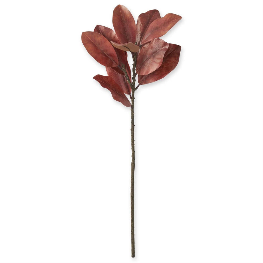 Orange Magnolia Branch - Perch