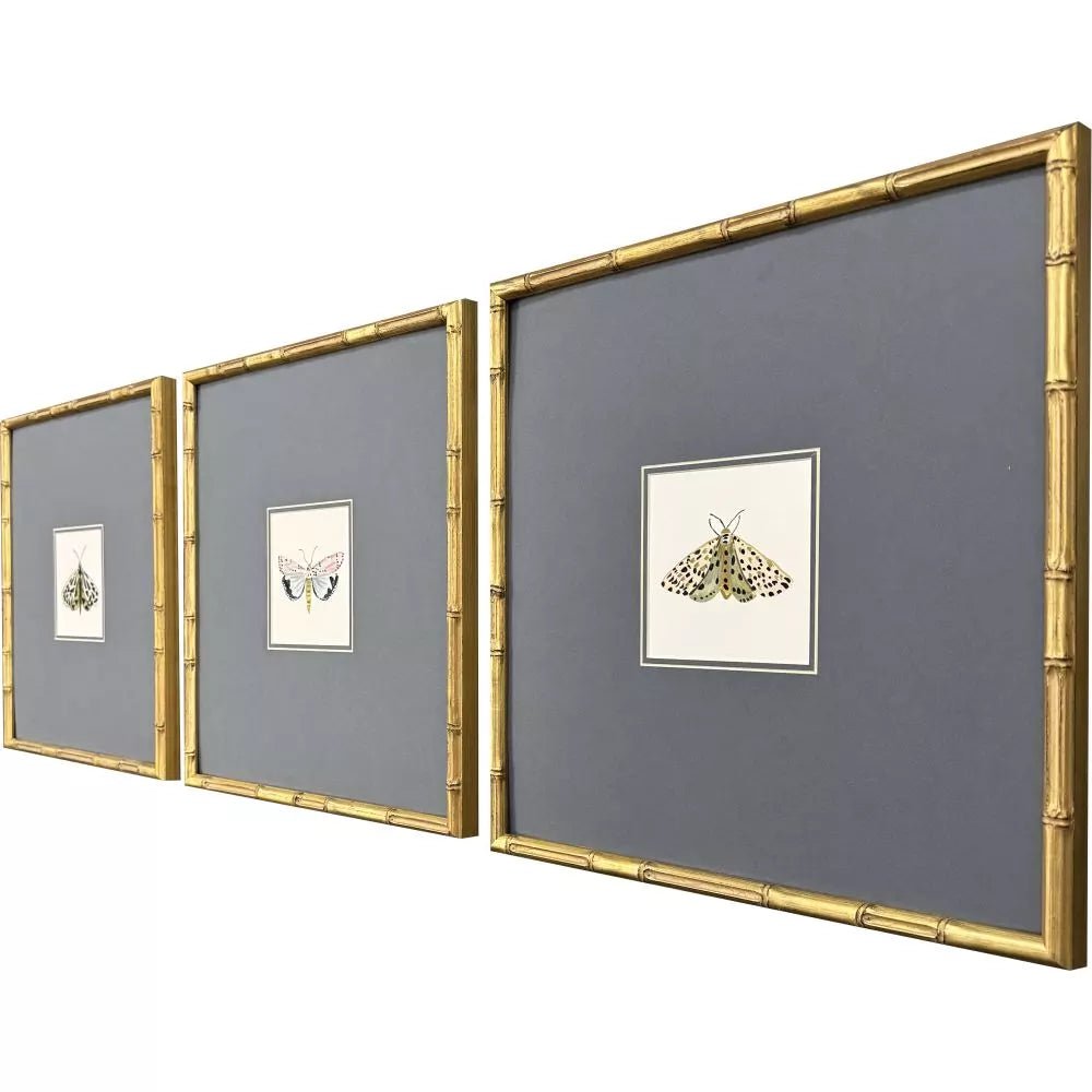 Pastel Moths I - Set of 3 - Perch
