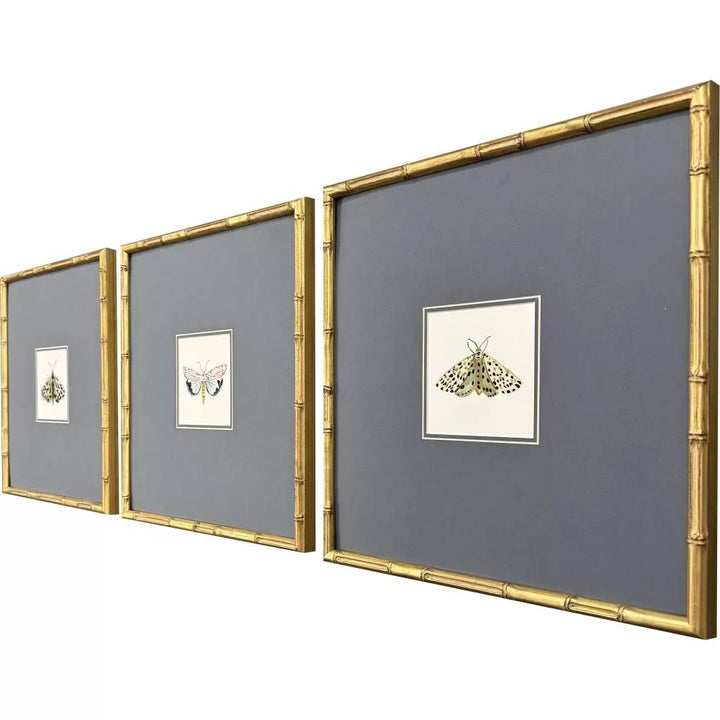 Pastel Moths I - Set of 3 - Perch