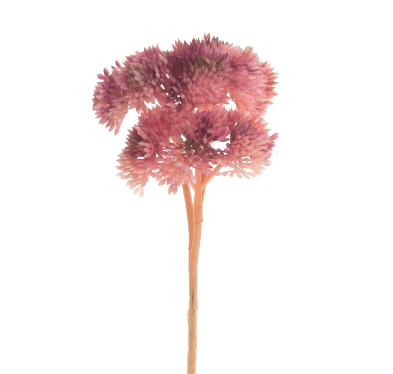 Pink Succulent Stem - Perch