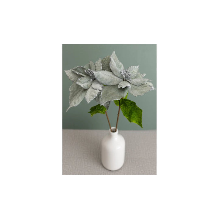 Poinsettia Stem So Gr - #Perch#