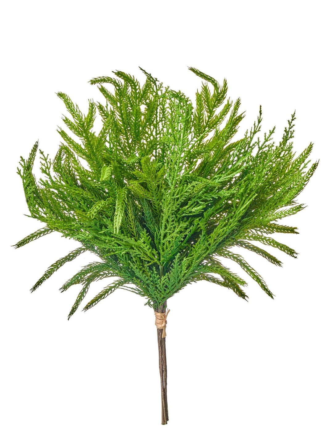 Real Touch Cedar Pine Bundle - Perch