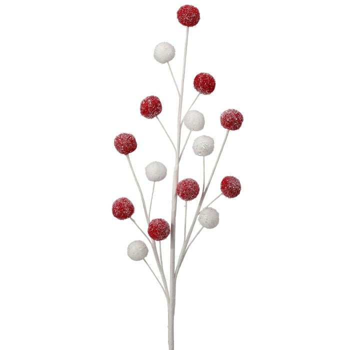 Red+White PomPom Spray - Perch