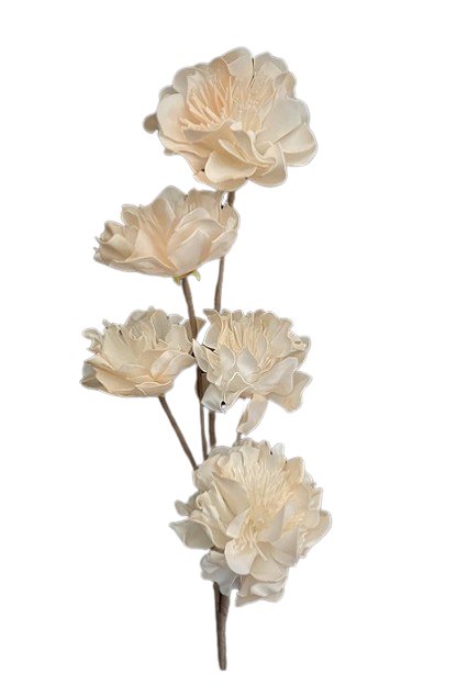 Soft Apricot Foam Flower - #Perch#