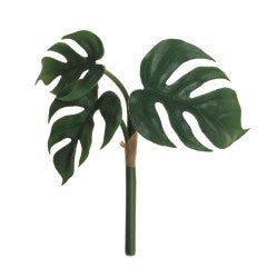 Split Leaf Philodendron Bush - #Perch#