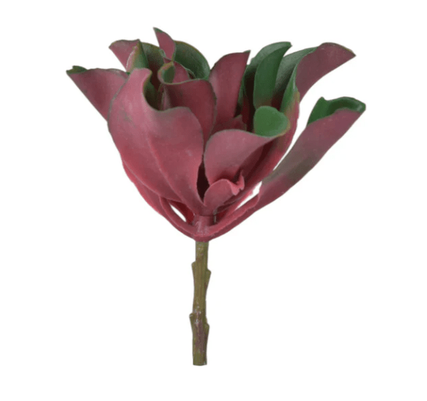 Succulent Stem - Perch