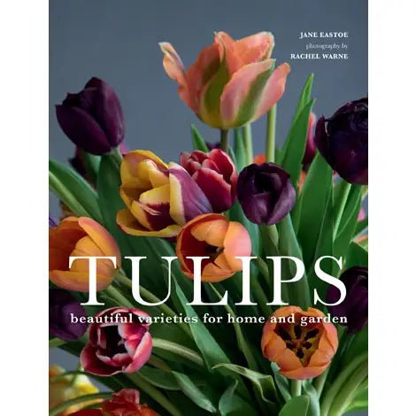 Tulips: Beautiful Varieties For Home and Garden - #Perch#