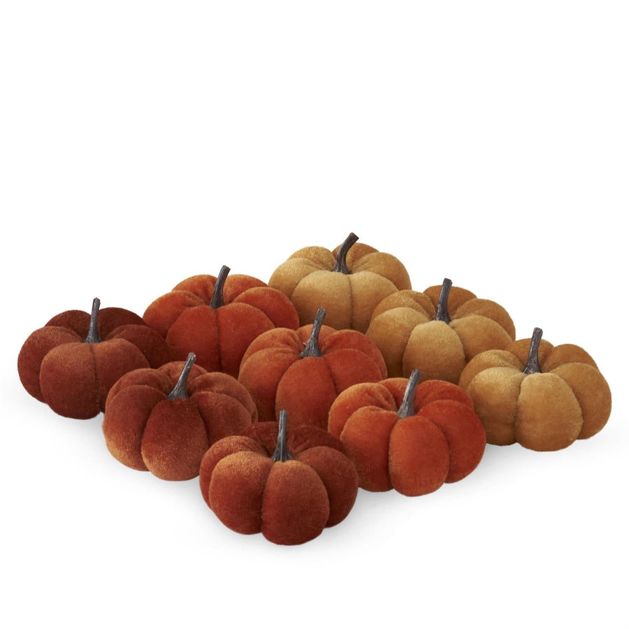 Velvet Filler Pumpkins - Perch