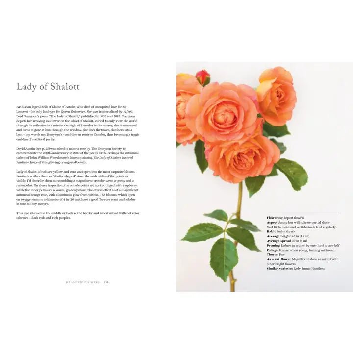 Vintage Roses: Beautiful Varieties For Home & Garden - #Perch#