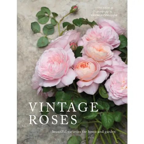 Vintage Roses: Beautiful Varieties For Home & Garden - #Perch#
