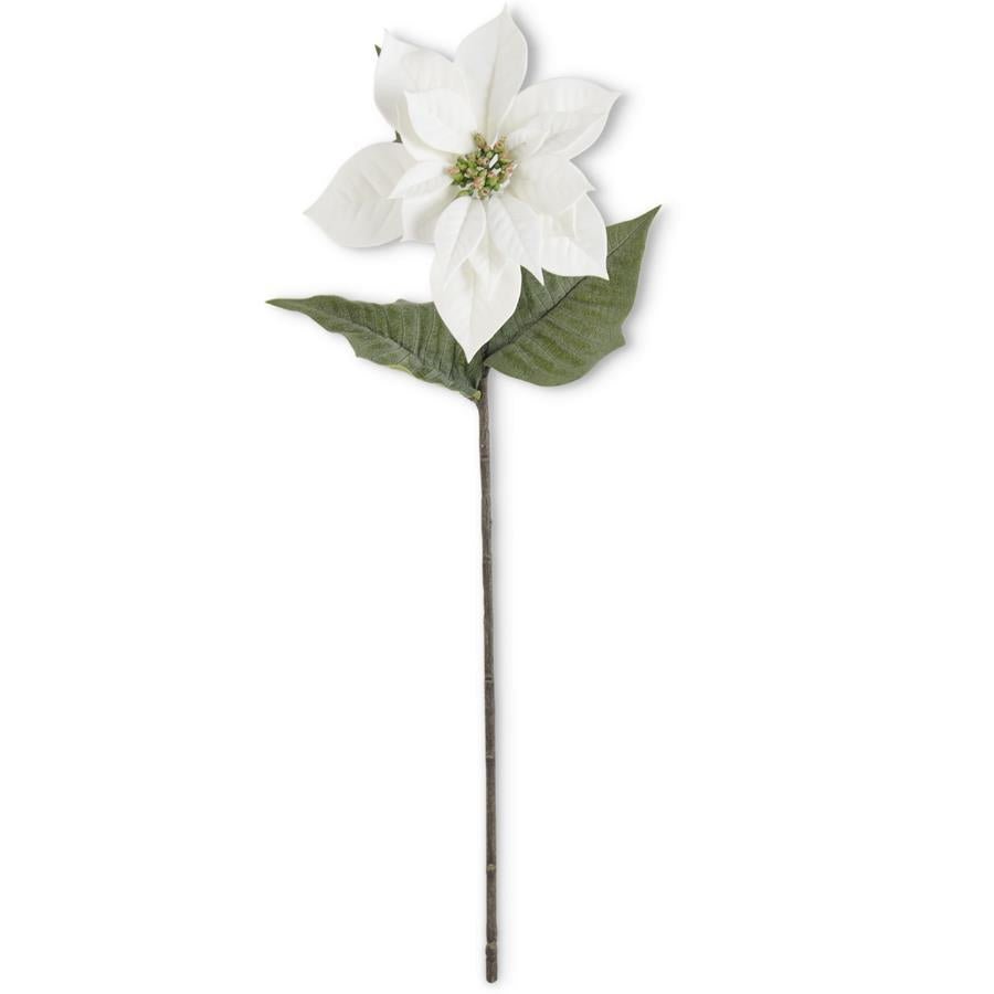 White Poinsettia Stem - #Perch#