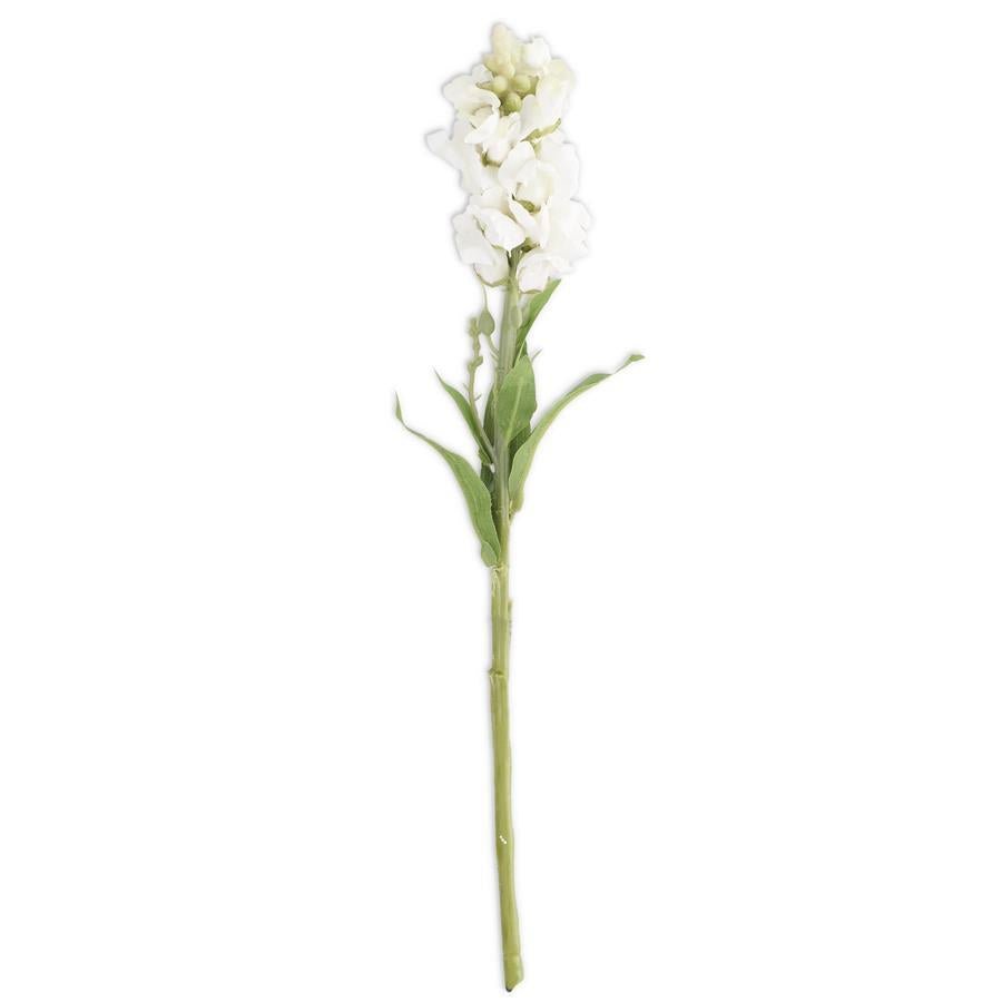 White Snapdragon Flower Stem - #Perch#