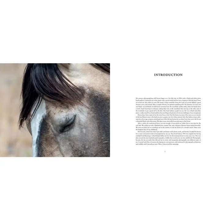 Wild Horses of the West : Photography Coffee Table Book - #Perch#