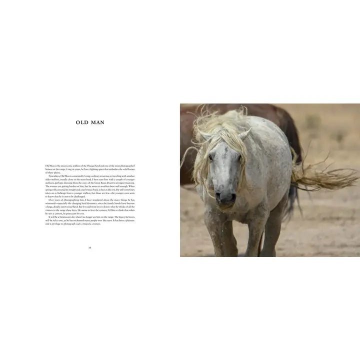 Wild Horses of the West : Photography Coffee Table Book - #Perch#