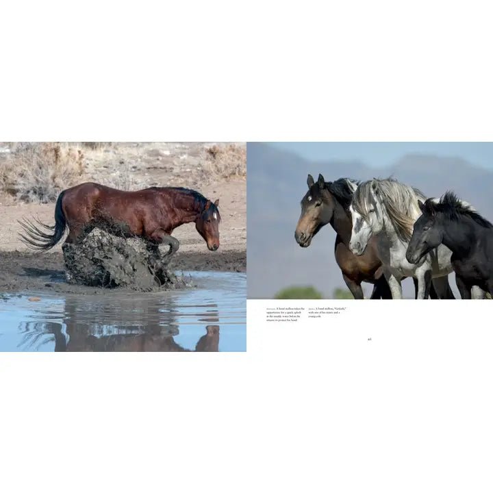 Wild Horses of the West : Photography Coffee Table Book - #Perch#